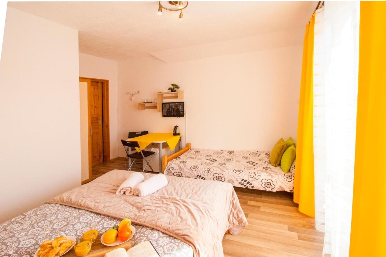Bieszczadzki Brat Apartamenty โปลันชิกค์ ภายนอก รูปภาพ